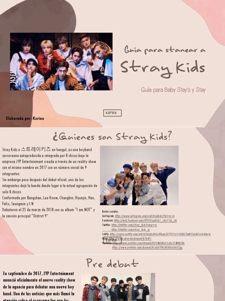 Guía para Baby Stay de Stray Kids | PDF