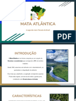 MATA ATLÂNTICA