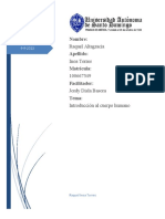 Anatomia Practica 1