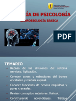 Topografía Del Cerebro 2