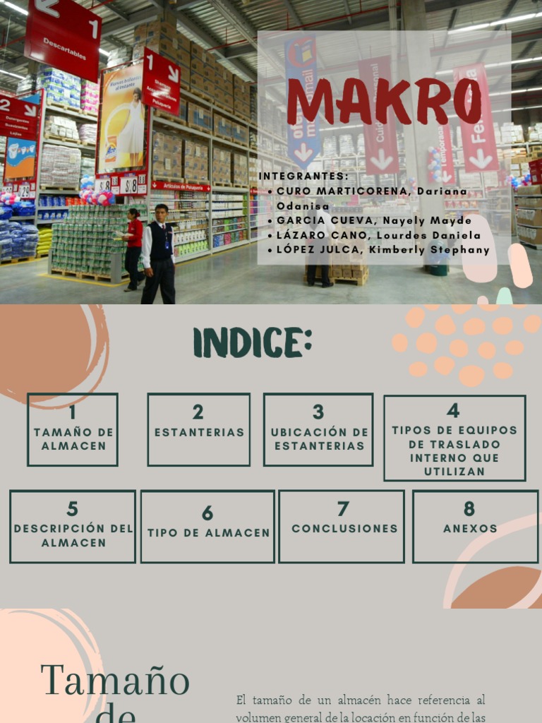 Almacen Makro PDF Economias Business