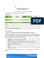 Tarea Académica 2 CI26-Geología 2022-2