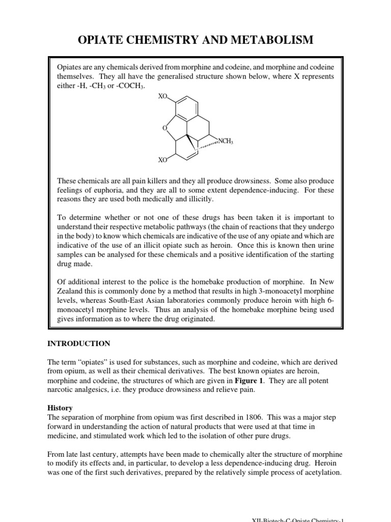 Opiate Chemistry.and Metabolism Bedford PDF Morphine Heroin