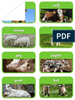 mothers-and-their-young-farm-animals-photo-flash-cards