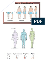 SOMATOTYPE BODY CLASSIFICATION PRESENTATION