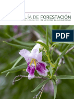 2021-Guía Municipal de Forestación para El Municipio de Mexicali 2021
