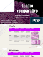 Cuadro Comparativo