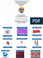 Niveles de Organizacion