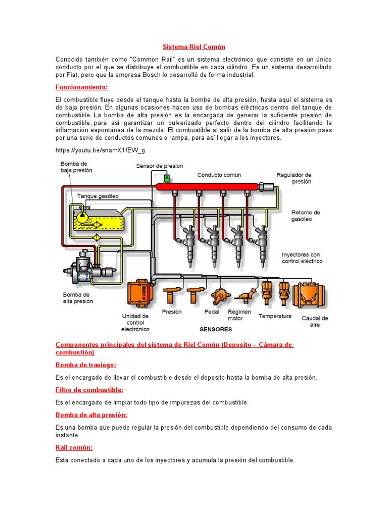 Funcionamiento del Sistema Riel Común | PDF