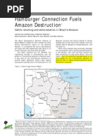 Download Hamburger Connection Fuels Amazon Destruction by snowcatyuki SN61032442 doc pdf