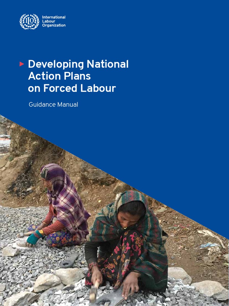 guidance-manual-national-action-plan-pdf