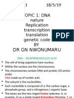 DNA Structure and Replication Explained