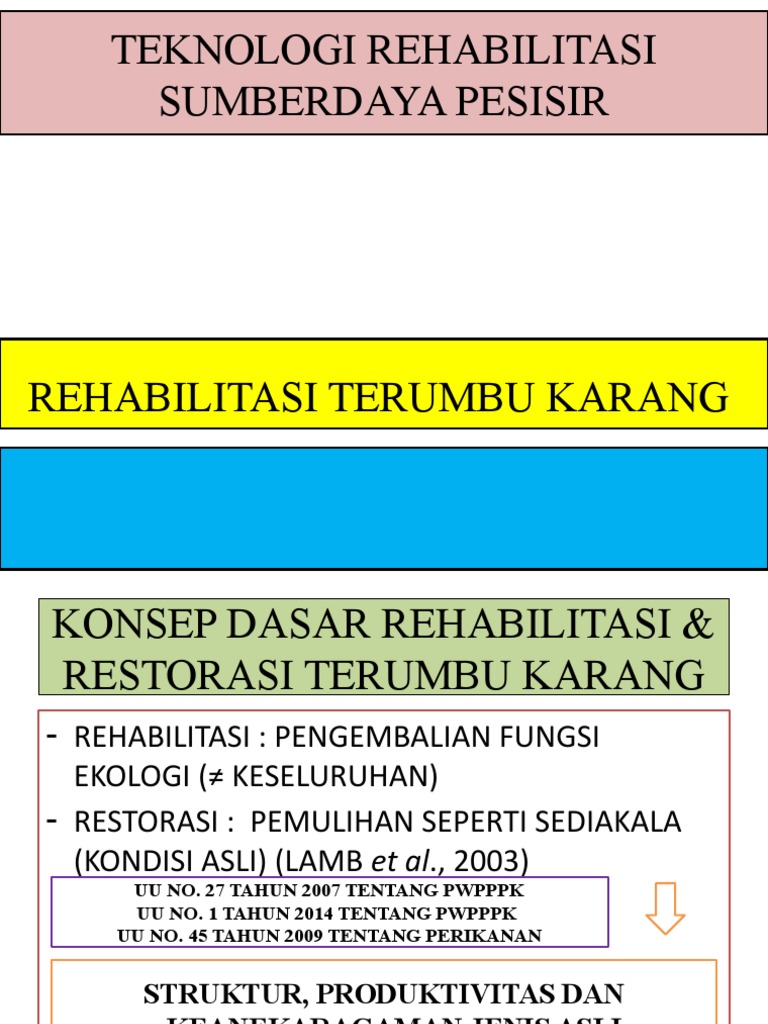 Bersama Warga dan Relawan, PT IMIP Rehabilitasi Terumbu Karang Sombori Morowali