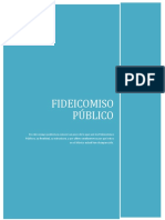 Ensayo de Fideicomiso