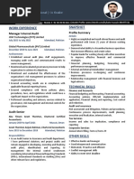 Zafar's CV (Finance and Audit)