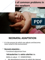 Common Newborn Problems (2) C1