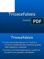 Tema Nº11 Tricocefalosis