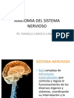 Corteza Prefrontal