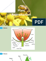 Unit 5 Plant reproduction