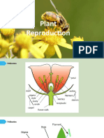 Unit 5 Plant Reproduction