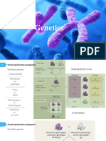 Unit 3 Genetics