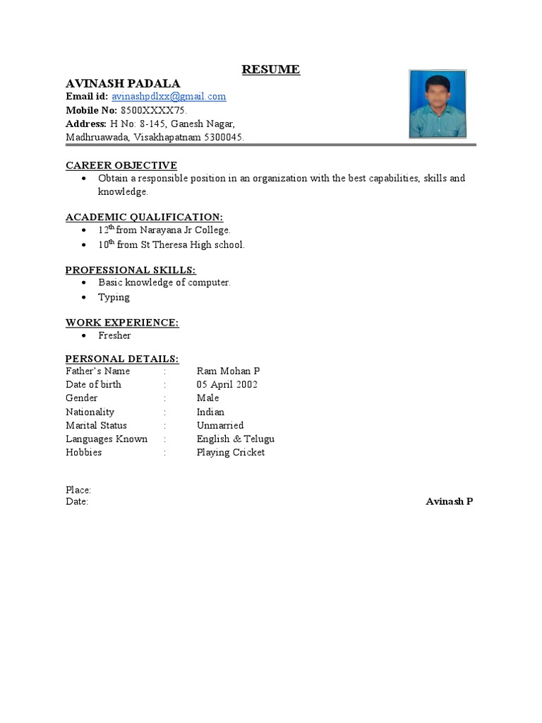 Simple Fresher Resume Format | PDF