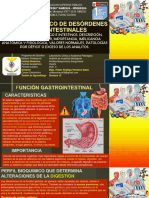 SEMANA 13 Perfil Bioquimico de Desordenes Gastrointestinales