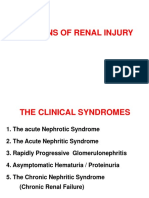 Renal Injury Patterns: Clinical Syndromes and Structural Abnormalities