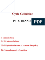 5-Cycle Ç