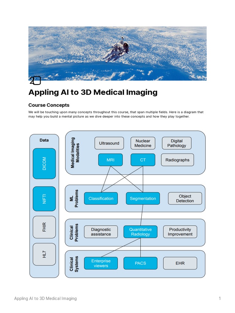 Appling AI To 3D Medical Imaging | PDF