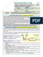 1 - Explica El Mecanismo de Funcionamiento Del Sistema de Relación y Coordinación.