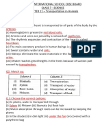 Keywords: Q1. Fill in The Blanks: Arteries Red Blood Cells. Capillaries. Heartbeat. Urea. Salts. Urine. Transpiration. Q2. Match Up