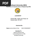 DLD Lab Report