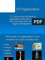 Levels Of Organization notes