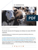 El Stock Vacuno de Uruguay Se Redujo en Unas 300.000 Cabezas
