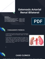 Pre Renal