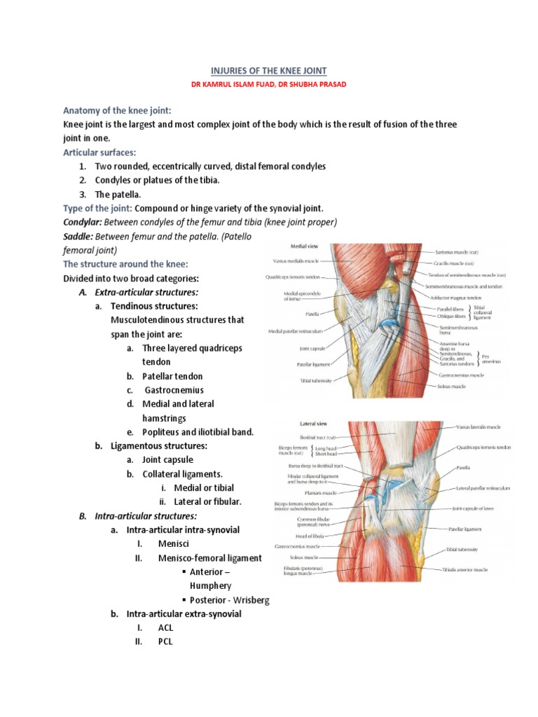 Knee visual data 2