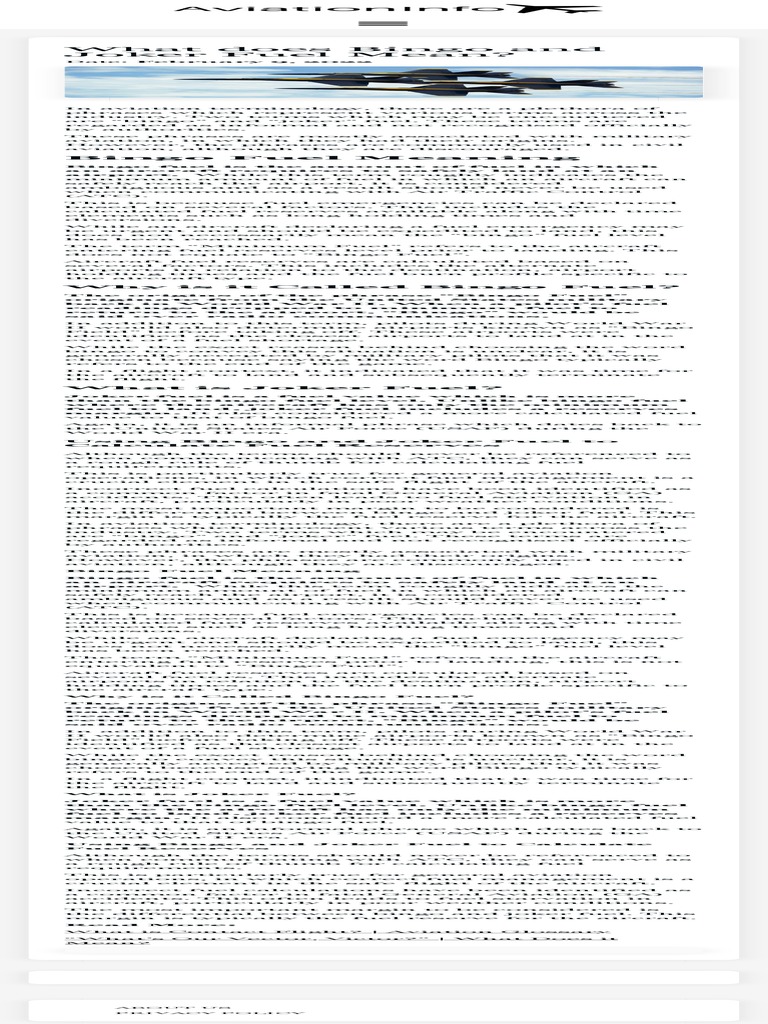 What Does Bingo and Joker Fuel Mean PDF