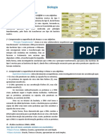 Resumos Biologia - Crescimento e Renovação Celular