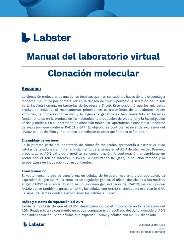 Teoría - Clonación Molecular - Labster | PDF | Adn | Reacción en cadena ...