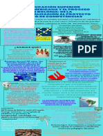 Infografia Proceso de Bolonia