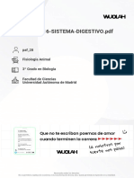 Wuolah Free TEMA 15 Y 16 SISTEMA DIGESTIVO