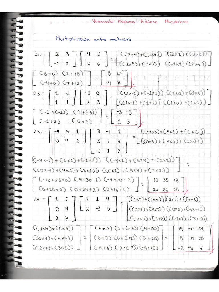 Multiplicación Entre Matrices | PDF