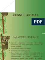 Regnul Animal