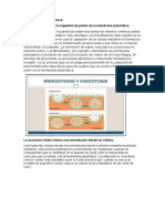 Informacion Bioquimica