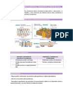 TEMA 2 Membrana