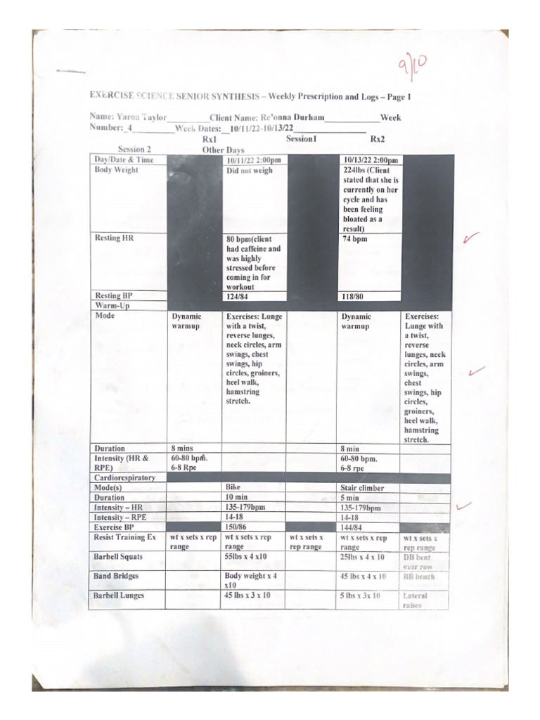 Weekly Log PDF