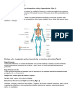 (Tema 1) Anatomia