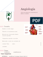Angiología y Sistemas