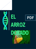 Verde Oscuro y Verde Mar Moderno Gradiente Farmacia Logotipo de Salud